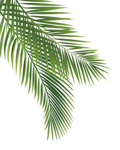 PNG image