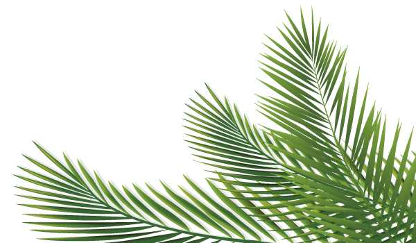 PNG image